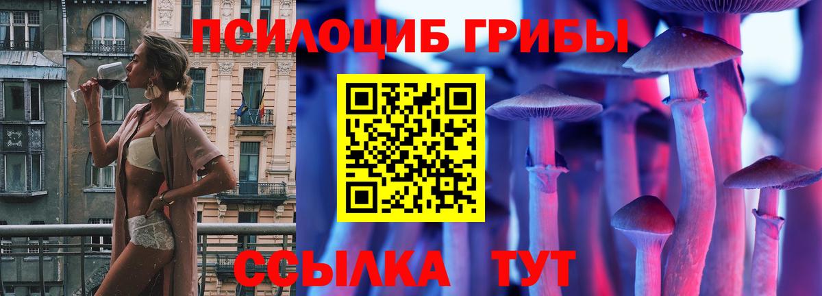 Псилоцибиновые грибы Psilocybine cubensis  Вход с VPN  магазин продажи   Бор 